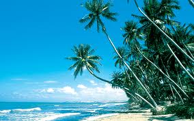 DU LỊCH PHAN THIẾT 2 NGÀY